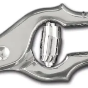 Nůžky na drůbež, Ambrogio Sanelli, (L)250mm