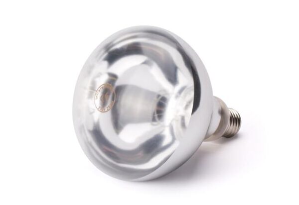 Infračervená topná žárovka, HENDI, Bílá, 230V/250W, ø125x(H)170mm - Image 2