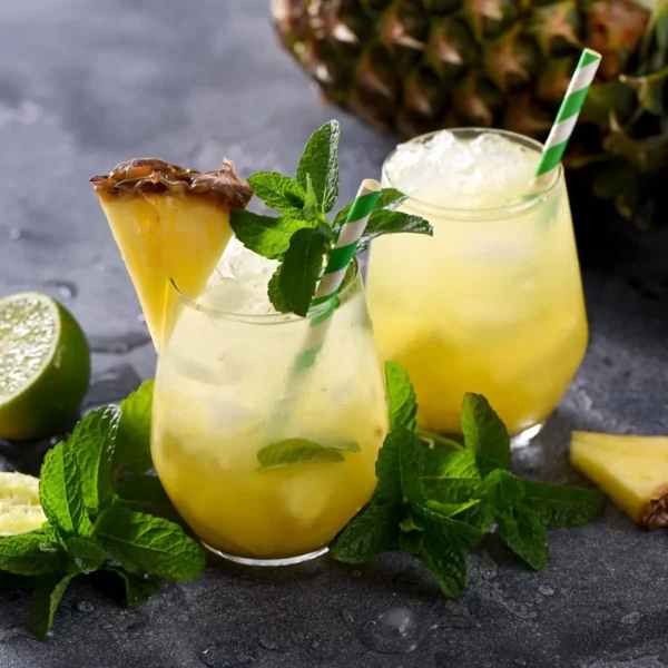 Kombinovaný barový spotřebič - mixér, drtič ledu a lis na citrusy - Image 2