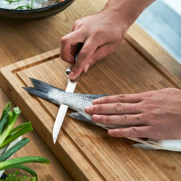 ZWILLING | VÍR STERNE - Filetovací nůž - čepel: 180mm - Image 9