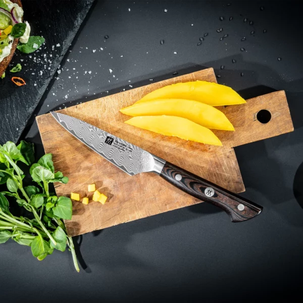 ZWILLING | TANREI - Špikovací & zdobící nůž - čepel: 100mm - Image 6