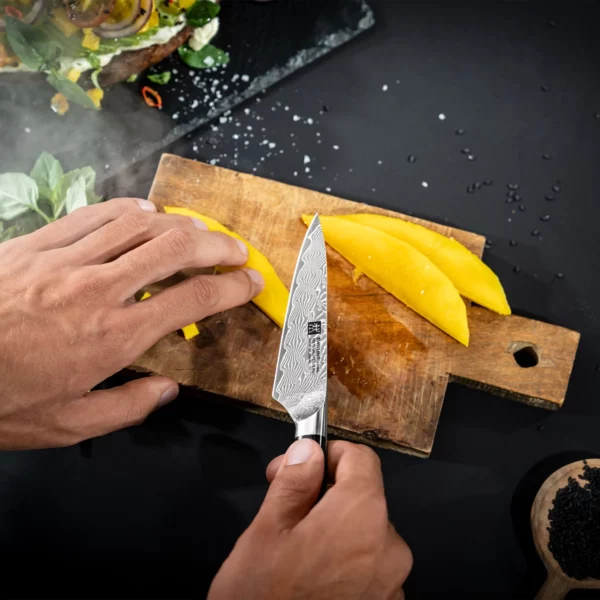 ZWILLING | TANREI - Špikovací & zdobící nůž - čepel: 100mm - Image 7