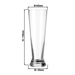 (12 kusů) sklenice na pivo - PIVO SPECIÁLY - 300 ml