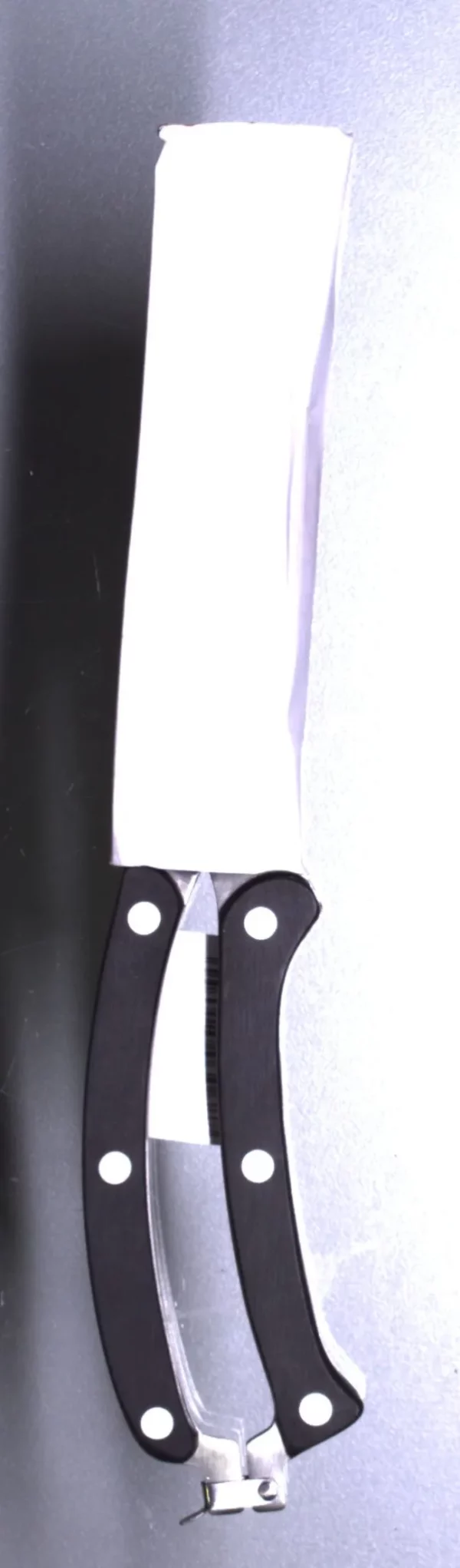 Nerezové nůžky na drůbež - 25 cm - Image 2