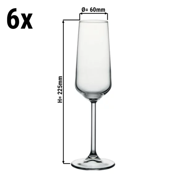 (6 kusů) sklenice na šampaňské - ALLEGRA - 195 ml - průhledná
