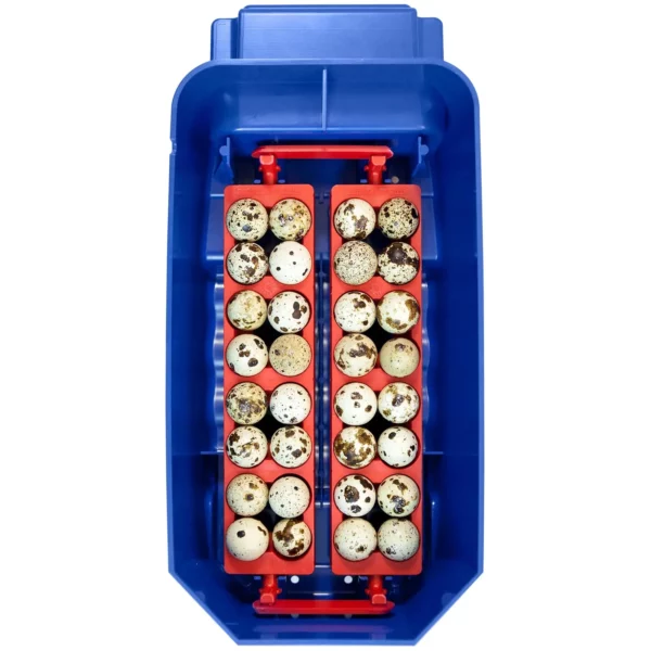 Umělá líheň na vejce - 8 vajec - včetně zvlhčovacího systému - plně automatická - Image 3