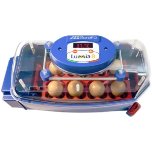 Umělá líheň - 8 vajec - plně automatická