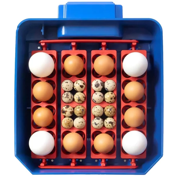 Umělá líheň - 16 vajec - včetně zvlhčovacího systému - plná automatika - antimikrobiální ochrana - Image 3
