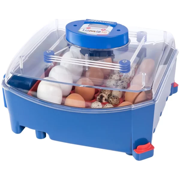 Umělá líheň - 16 vajec - plně automatická - Biomaster antimikrobiální ochrana - Image 4